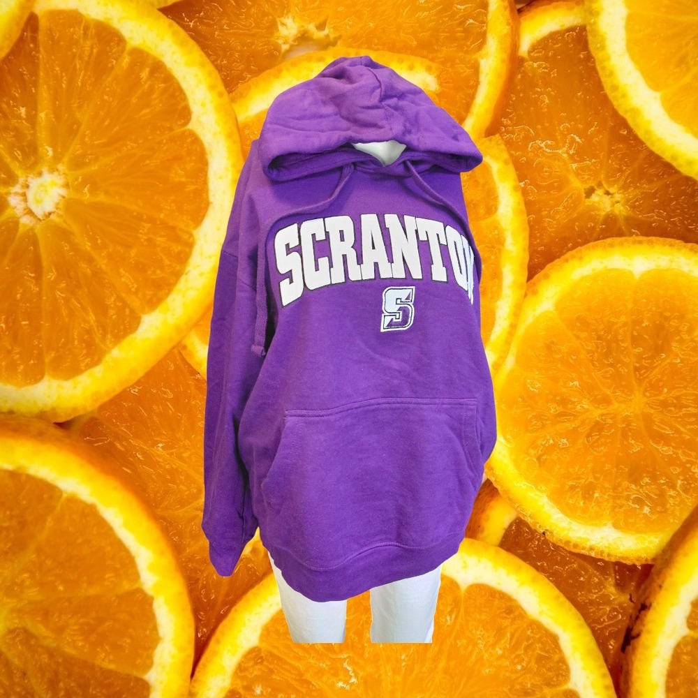 Old Varsity‎ Brand Purple Scranton S Logo Hoodie Men's Large Pullover